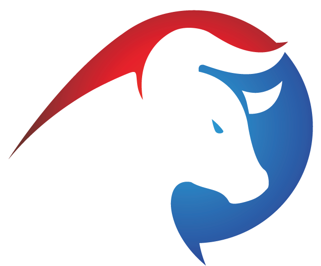 Bull Integrations Group